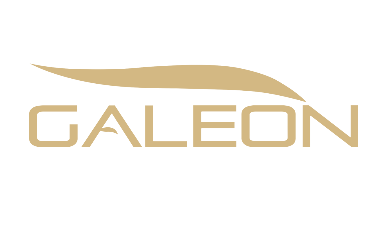 Galeon copy